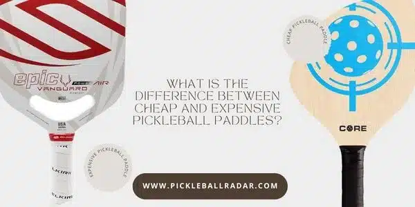 Image comparing the features of cheap and expensive pickleball paddles, highlighting their differences in material, design, and performance.